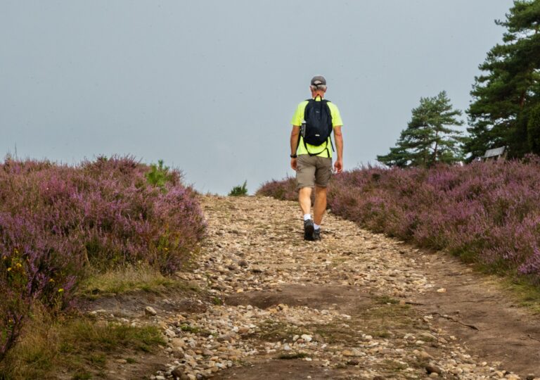 wandelen sudbergerheide